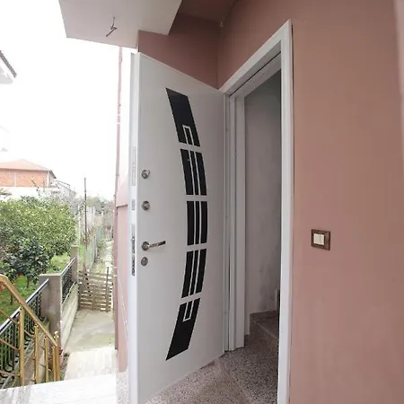 Dori Ani * Tirana